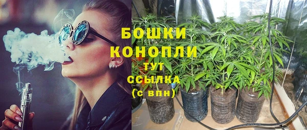 ПСИЛОЦИБИНОВЫЕ ГРИБЫ Переславль-Залесский