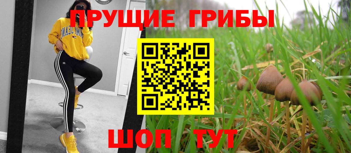 Галлюциногенные грибы мицелий Старая Русса