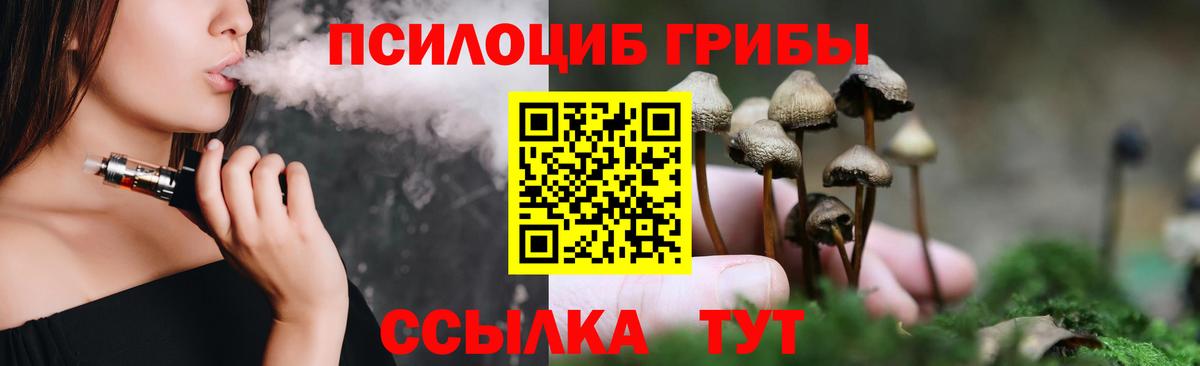 Старая Русса  Псилоцибиновые грибы Psilocybine cubensis  Вход с VPN  Галлюциногенные грибы мухоморы 